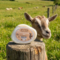 Savon Nature Lait de Chèvre Bio - Ma Kibell
